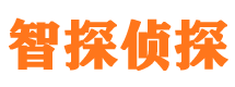 封丘侦探公司